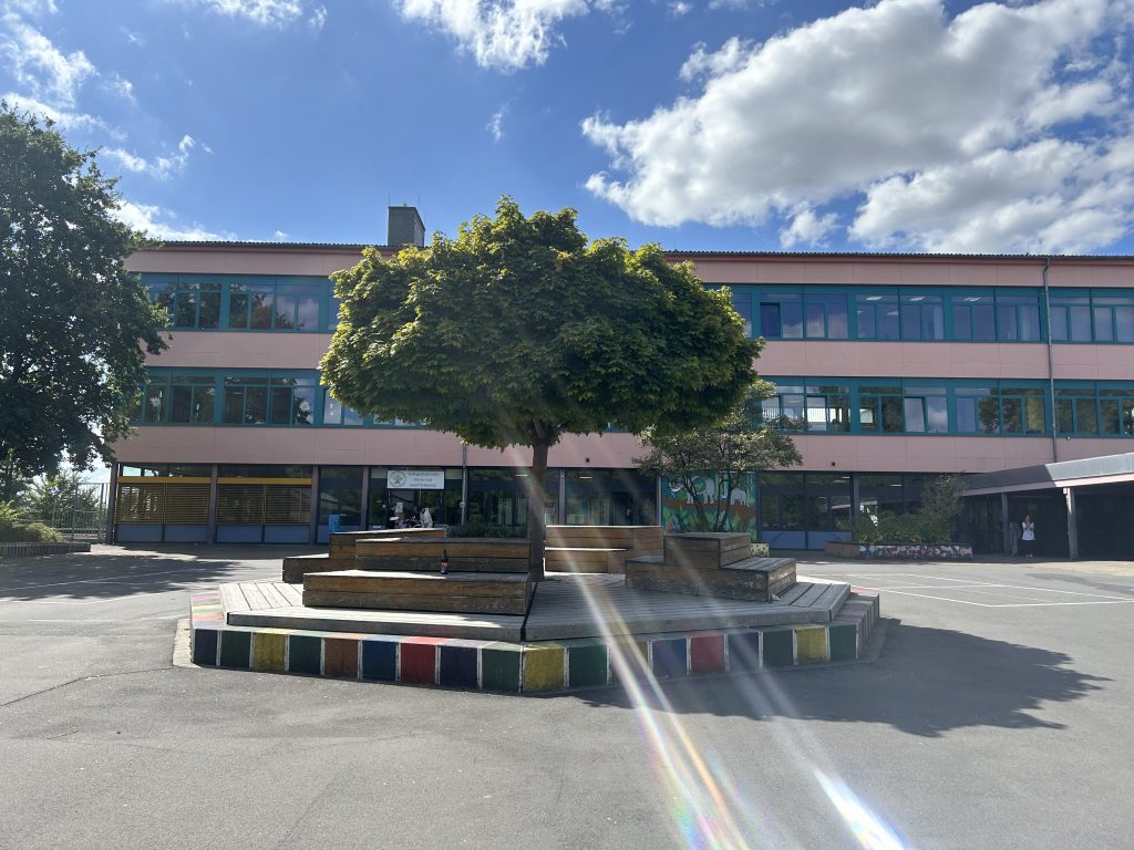 Schulhof-mit-baum-und-sonnenstrahlen