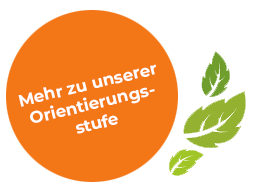 Bildstörer-Orientierungsstufe-orange